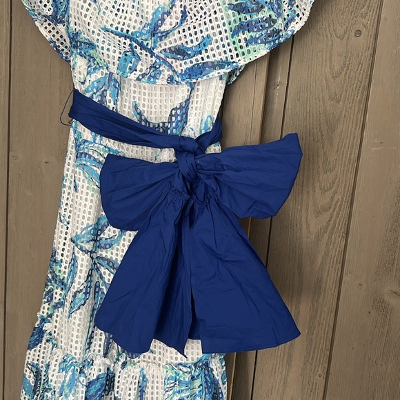 Lilly Pulitzer Sona Midi Dress - Picture 4 of 6